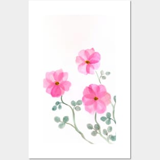 Pink blossom floral botanical watercolor Posters and Art